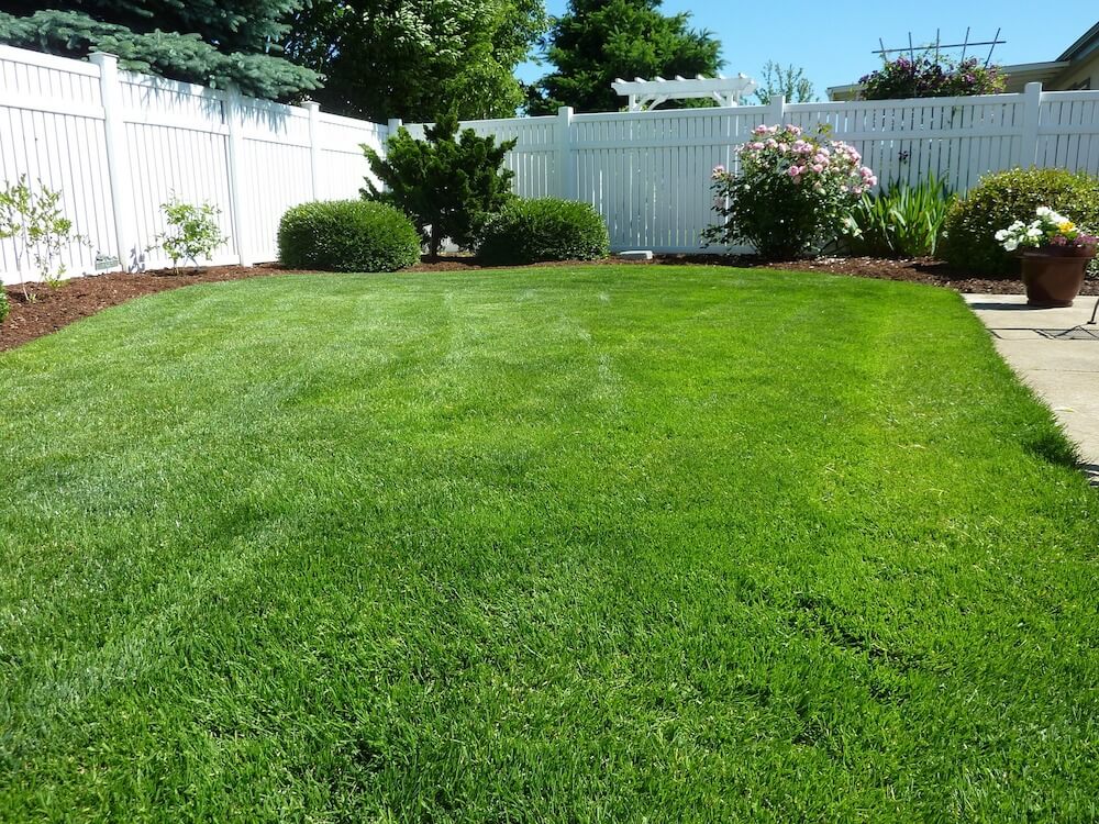 2021 Zoysia Sod Cost Zoysia Grass Sod Prices